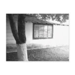 apple tree and old tool shed postcards
