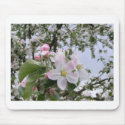 apple-tree blossom mousepads by moozivaras apple-tree blossom mousepads