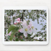 apple-tree blossom mousepads