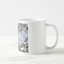 apple-tree blossom mugs