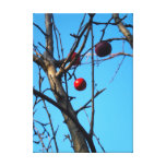 apple tree canvas print