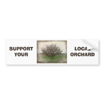 Apple Tree in Bloom Bumper Stickers