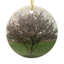 Apple Tree in Bloom Ornament