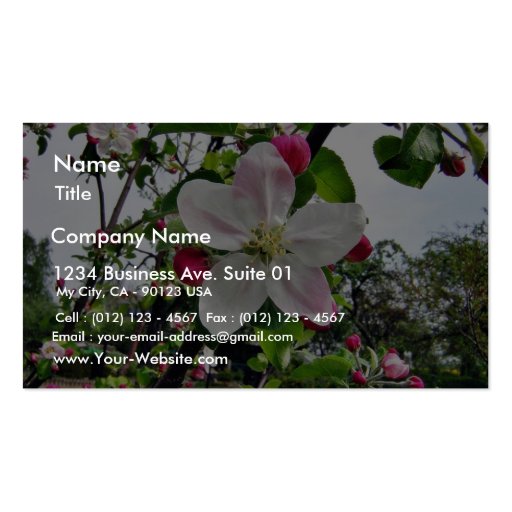 Apple Tree In Blossom Business Card (front side)