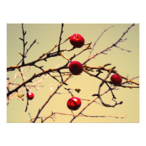apple tree photo art