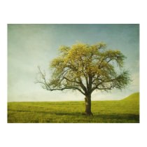 Apple tree print