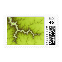 Apple Tree Roots Postage Stamp