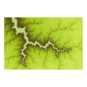 Apple Tree Roots Poster posters