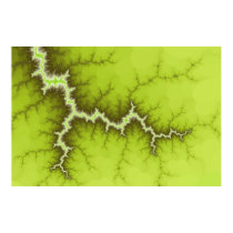 Apple Tree Roots Poster posters
