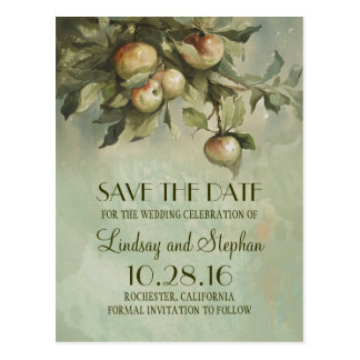 apple tree dating analogy Apple tree dating analogy can you solve relationship issues, to things that occur in daily life, to complex issues you need to unravel at work youll always have a. apple tree dating analogy Apple tree dating analogy can you solve relationship issues, to things that occur in daily life, to complex issues you need to unravel at work youll always have a.