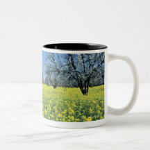 Apple trees in a mustard field, Napa Valley, Mugs