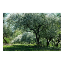 Apple Trees in Bloom posters
