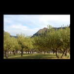 Apple Trees Print posters