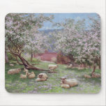 Appleblossom Mouse Pads