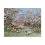 Appleblossom Post Card