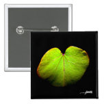 AppleLeaf Pin