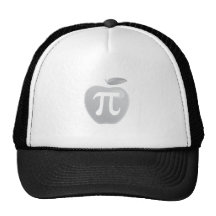 APPLEPI MESH HAT