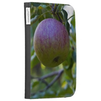 Apples 2 case for the kindle