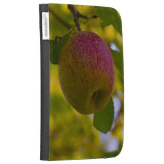 Apples 3 kindle cover