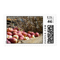 Apples and Pussy Willows Stamp