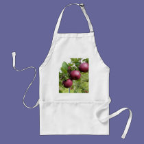 Apples aprons