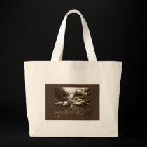 Apples bags