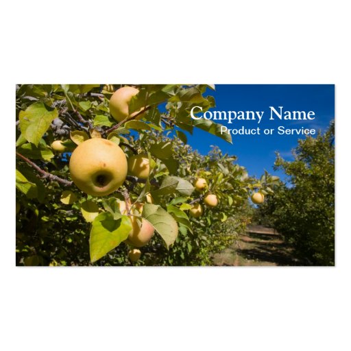 Apples business card (front side)