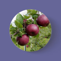 Apples buttons