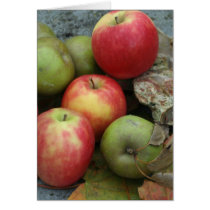 apples cards by heysje apples cards