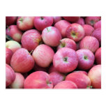 Apples Fresh From The Orchard Post Card