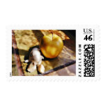 Apples Garlic Cloves Still Life Stamp