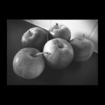 Apples in the Kitchen canvas prints