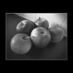 Apples in the Kitchen postcards
