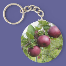 Apples keychains