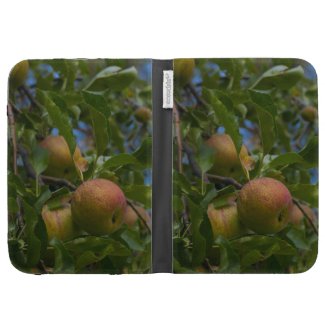 Apples Kindle Covers