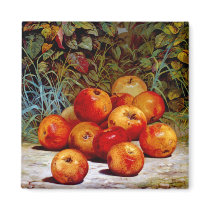 Apples Magnet
