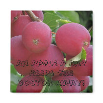 Apples magnets by ggbythebay Apples magnets