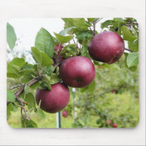 Apples mousepads