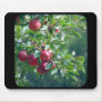 Apples Mousepad