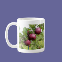 Apples mugs