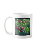 Apples mugs