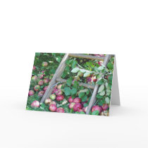 Apples on an Autumn Day cards by kgallo Apples on an Autumn Day cards