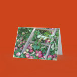 apple, trees, leaves
