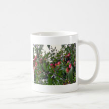 Apples on Apple Tree Mug