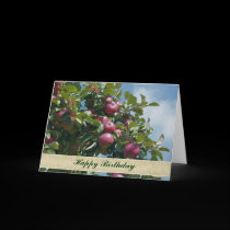Apples On Tree Nature Photography Birthday Card