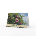 Apples On Tree Nature Photography Birthday Card