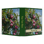 Apples On Tree Personalized Photo Binder