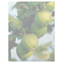 Apples, Ontario, Canada Custom Letterhead