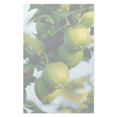 Apples, Ontario, Canada Custom Stationery by beautifulclicks