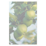Apples, Ontario, Canada Custom Stationery